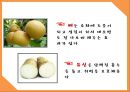 언제 닥칠 지 모르는 소화불량 ! 지식 만이 살길이다!! (성인소화불량,소화불량,소화불량사례,소화불량분석).PPT자료 23페이지
