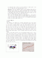 세스코마케팅전략,세스코중국시장진출,해충방제시장,중국의해충방제시장,세스코기업분석 18페이지