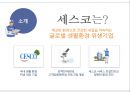 세스코(CESCO)기업분석,세스코경영전략사례,세스코성공스토리,브랜드마케팅,서비스마케팅,글로벌경영,사례분석,swot,stp,4p.ppt 3페이지