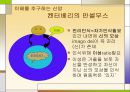 기독교에 이성을 접목한 사상가 안셀무스.ppt 8페이지
