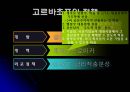 냉전(冷戰) 고르바초프의 선택.ppt 14페이지