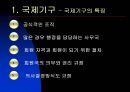 국제기구의 종류와 역할  4페이지