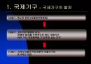국제기구의 종류와 역할  6페이지
