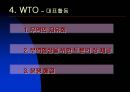 국제기구의 종류와 역할  13페이지