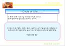 라이온 킹 (The Lion King) - 기독교적 관점으로.ppt 5페이지