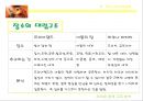 라이온 킹 (The Lion King) - 기독교적 관점으로.ppt 7페이지