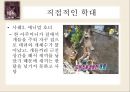 동물 SOS - 동물학대의 원인 및 해결방안.ppt 7페이지