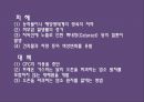 국제 이해 교육 환경 :지구적 문제와 인류 공동의 대응.ppt 13페이지