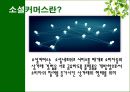 소셜커머스,소셜커머스전망과한계,소셜커머스현황및장단점,Social Commerce 3페이지