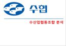 수산업협동조합 분석,수협기업분석,수협분석,수협의문제와개선방안 1페이지