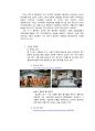 소주 ‘처음처럼’통합 마케팅 커뮤니케이션(IMC) 분석,소주마케팅,처음처럼 마케팅 8페이지