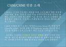 소프트웨어품질평가,국내외 SW(또는 정보시스템)품질평가 제도및소개 15페이지