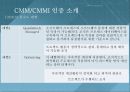 소프트웨어품질평가,국내외 SW(또는 정보시스템)품질평가 제도및소개 17페이지