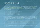 소프트웨어품질평가,국내외 SW(또는 정보시스템)품질평가 제도및소개 23페이지