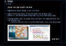스마트폰시장 활성화 장애요인,스마트폰시장,스마트폰장애요인,스마트폰국내시장분석 15페이지