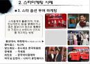 스타마케팅,스타마케팅사례,스타마케팅분석,원더걸스미래,원더걸스마케팅,스타마케팅영향력,마케팅전략 10페이지