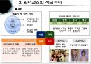 스타마케팅,스타마케팅사례,스타마케팅분석,원더걸스미래,원더걸스마케팅,스타마케팅영향력,마케팅전략 19페이지