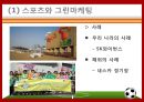 스타마케팅,스타마케팅전략,스타마케팅분석,스포츠와그린마케팅,스포츠와스마트폰,스포츠와3D,스포츠마케팅,스포츠스타마케팅,스포츠트렌드 10페이지