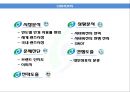 시바비젼,시바비젼마케팅전략,시바비젼기업분석,국내렌즈시장,렌즈시장,렌즈마케팅 2페이지
