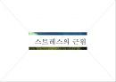 스트레스,스트레스관리,개인스트레스,조직스트레스,직무스트레스,스트레스원인 5페이지