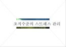 스트레스,스트레스관리,개인스트레스,조직스트레스,직무스트레스,스트레스원인 19페이지
