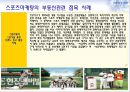 스포츠마케팅,스포츠마케팅전략,스포츠마케팅사례.PPT자료 17페이지