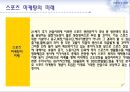 스포츠마케팅,스포츠마케팅전략,스포츠마케팅사례.PPT자료 20페이지