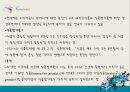 식품첨가물,식품미량구성성분,첨가물의구성성분분석 4페이지
