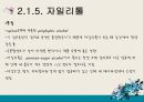 식품첨가물,식품미량구성성분,첨가물의구성성분분석 13페이지
