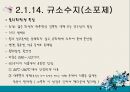 식품첨가물,식품미량구성성분,첨가물의구성성분분석 28페이지