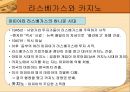 시저스팰리스,라스베가스,호텔마케팅,호텔경영,마케팅,브랜드,브랜드마케팅,기업,서비스마케팅,글로벌,경영,시장,사례,swot,stp,4p 4페이지