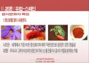 [외식산업론] 기타지역의 식문화 (식문화,미주식문화,유럽식문화,식문화이해).PPT자료 20페이지