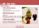 [외식산업론] 기타지역의 식문화 (식문화,미주식문화,유럽식문화,식문화이해).PPT자료 31페이지