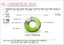 아동학대,아동피해사례,피해사례 10페이지