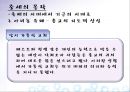 반 토마스 아퀴나스와 중세의 몰락 30페이지