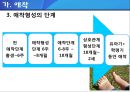 애착_유형,아이에게미치는영향,개념,이론,성격발달(아이에대한엄마의애착) 6페이지