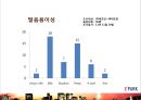 아이파크리네이밍,아이파크마케팅,마케팅전략사례,.마케팅,브랜드,브랜드마케팅,기업,서비스마케팅,글로벌,경영,시장,사례,swot,stp,4p 52페이지
