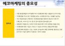 에코마케팅,에코마케팅전략,에코마케팅사례및분석 4페이지