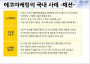 에코마케팅,에코마케팅전략,에코마케팅사례및분석 6페이지