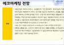 에코마케팅,에코마케팅전략,에코마케팅사례및분석 17페이지