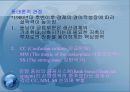 동남아시아 경제 성장의 결빙(freezing)과 금융위기 (타이와 인도네시아 사례를 중심으로).ppt 4페이지