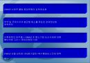 동남아시아 경제 성장의 결빙(freezing)과 금융위기 (타이와 인도네시아 사례를 중심으로).ppt 13페이지