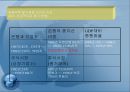 동남아시아 경제 성장의 결빙(freezing)과 금융위기 (타이와 인도네시아 사례를 중심으로).ppt 22페이지