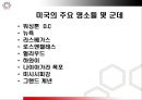 관광지에 따른 강대국 미국의 힘.ppt 5페이지