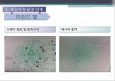 에너지절약,쓰레기 절감 및 분리수거(에코마케팅,에코) 5페이지