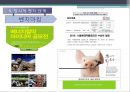 에너지절약,쓰레기 절감 및 분리수거(에코마케팅,에코) 21페이지