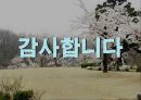 영아기의 발달 특징과 좋은 부모가 되기 위한 방향.PPT자료 18페이지