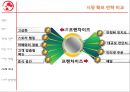 프랜차이즈 장단점 14페이지