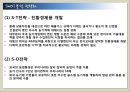 대동 공업의 미국 시장진출을 통해 살펴본 국제경영전략  23페이지