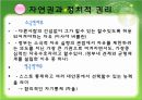 민주주의  13페이지